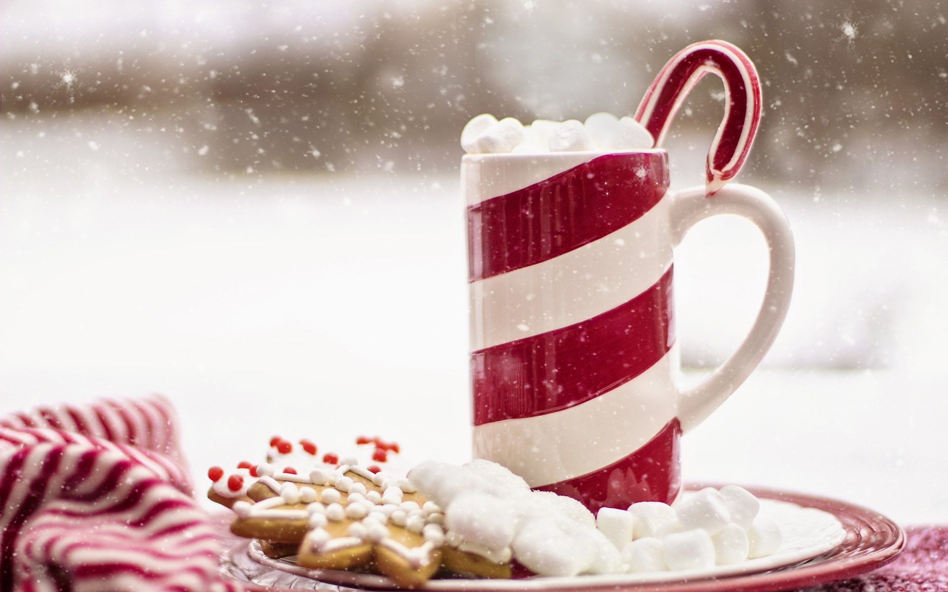 Goûter de Noël – APE LFZ